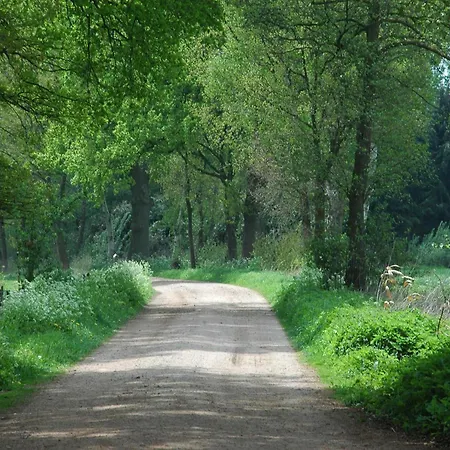 Rural Wildlife Spotting Achterhoek Hébergement de vacances *