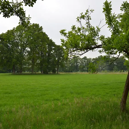 Hébergement de vacances Rural Wildlife Spotting Achterhoek *