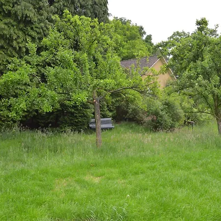 Relax, Explore, And Dine In Aalten *