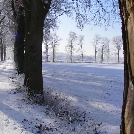 Relax, Explore, And Dine In Aalten Feriehus IJzerlo