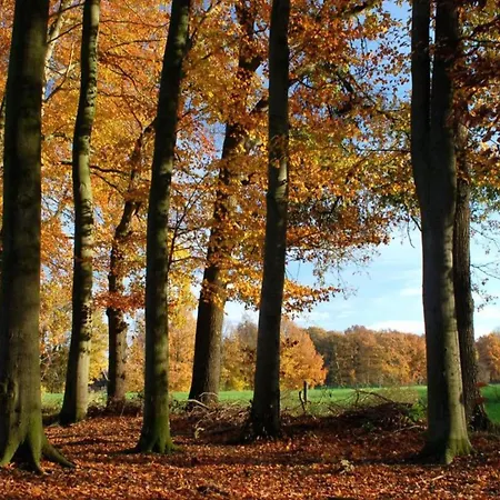 Relax, Explore, And Dine In Aalten Feriehus *