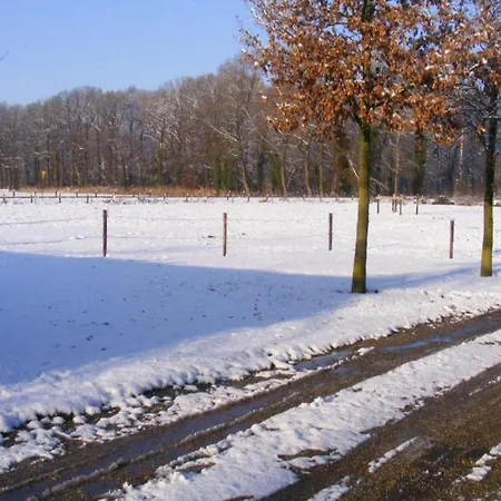 Relax, Explore, And Dine In Aalten Feriehus