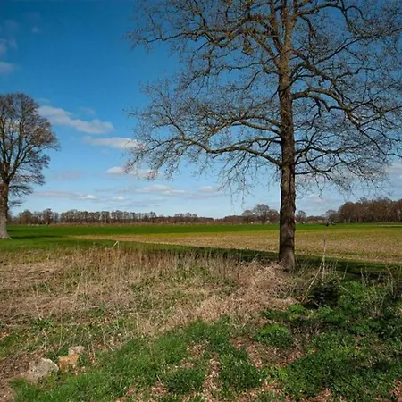 Feriehus Relax, Explore, And Dine In Aalten