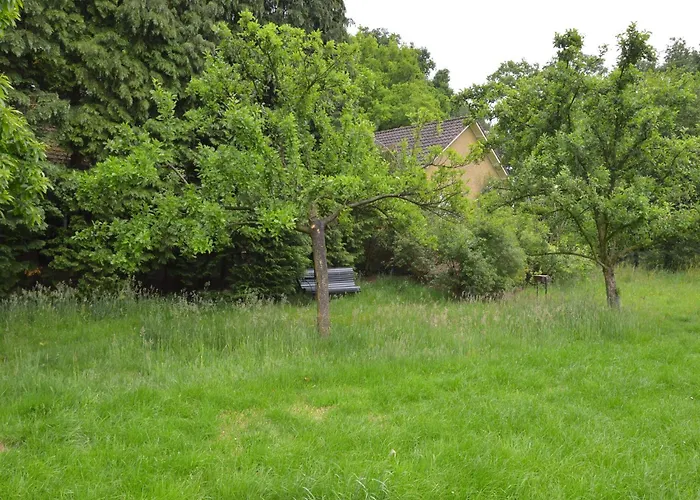 Relax, Explore, And Dine In Aalten *