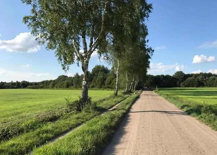 Relax, Explore, And Dine In Aalten *