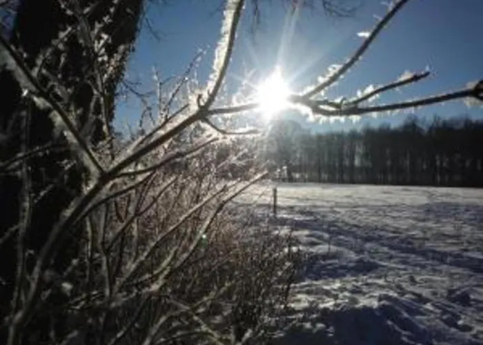 Vakantiehuis Relax, Explore, And Dine In Aalten