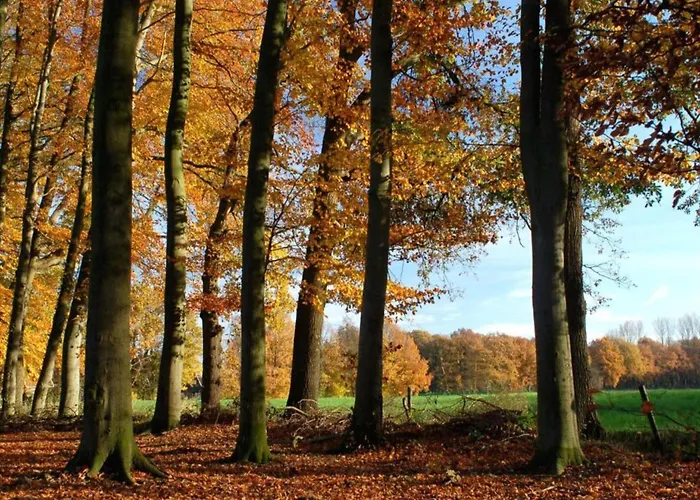 Relax, Explore, And Dine In Aalten Σπίτι διακοπών *