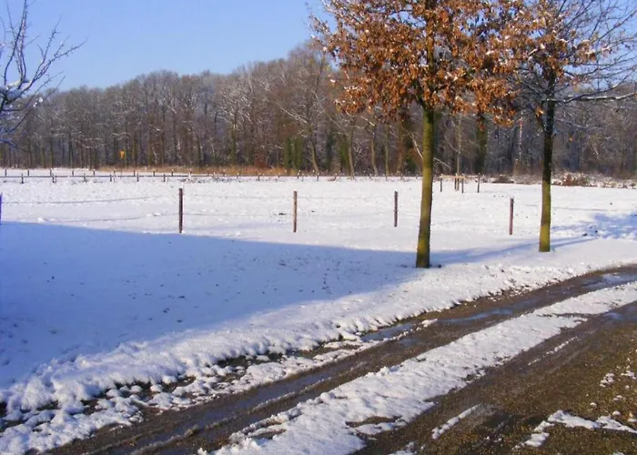 Relax, Explore, And Dine In Aalten Vakantiehuis