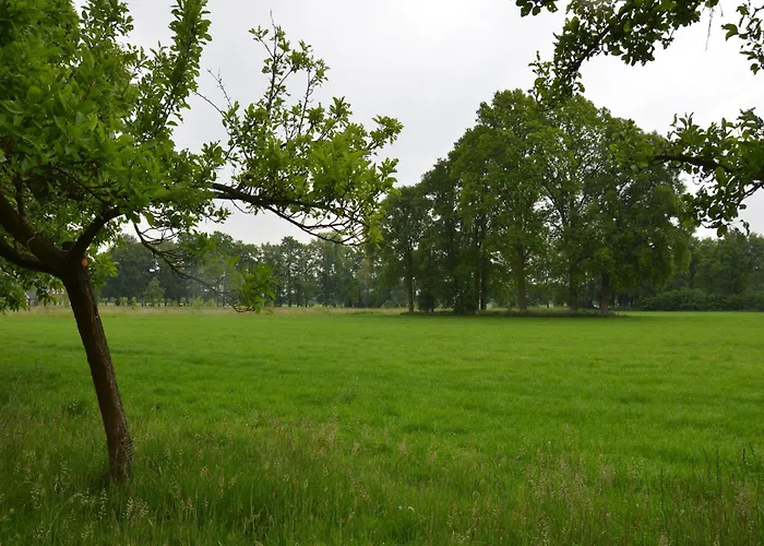 Relax, Explore, And Dine In Aalten *