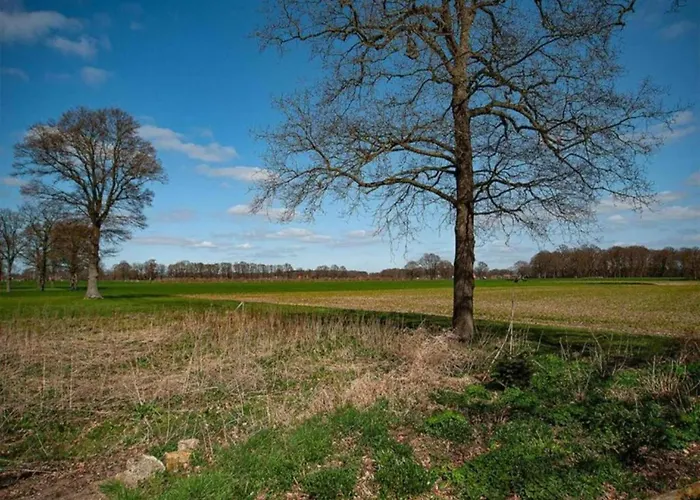 Vakantiehuis Relax, Explore, And Dine In Aalten