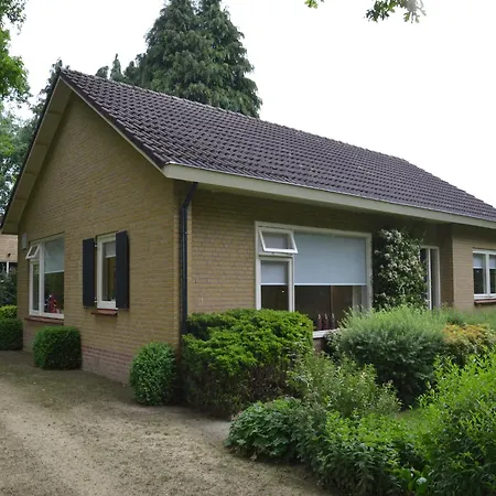 Rural Wildlife Spotting Achterhoek