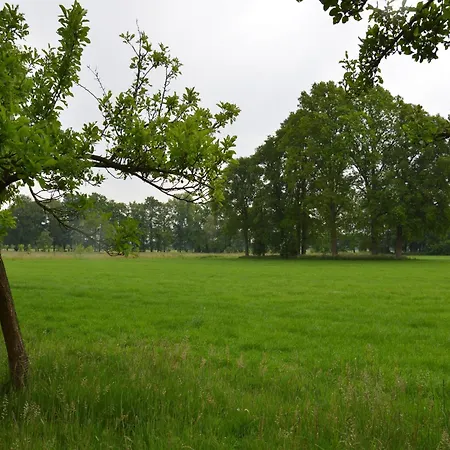 Holiday home Rural Wildlife Spotting Achterhoek IJzerlo