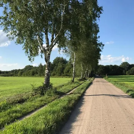 Relax, Explore, And Dine In Aalten *