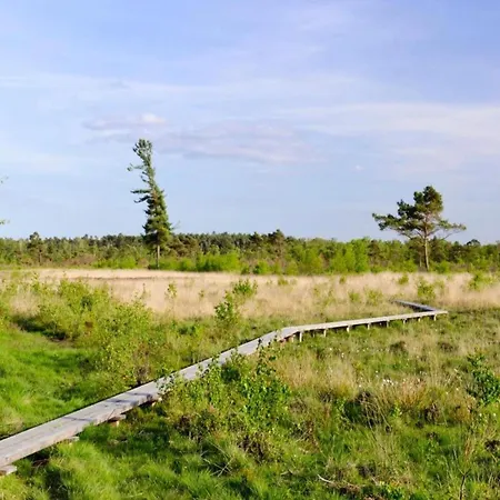 Relax, Explore, And Dine In Aalten * IJzerlo