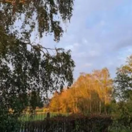 Relax, Explore, And Dine In Aalten IJzerlo