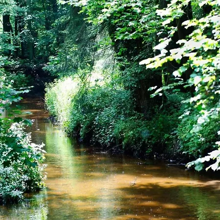 Relax, Explore, And Dine In Aalten * IJzerlo