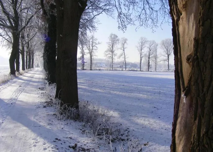 Relax, Explore, And Dine In Aalten Дом отдыха IJzerlo