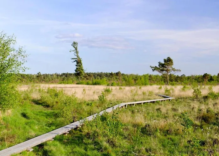 Relax, Explore, And Dine In Aalten * IJzerlo