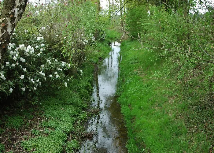 Relax, Explore, And Dine In Aalten