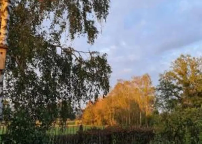 Relax, Explore, And Dine In Aalten IJzerlo