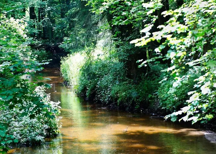 Relax, Explore, And Dine In Aalten * IJzerlo